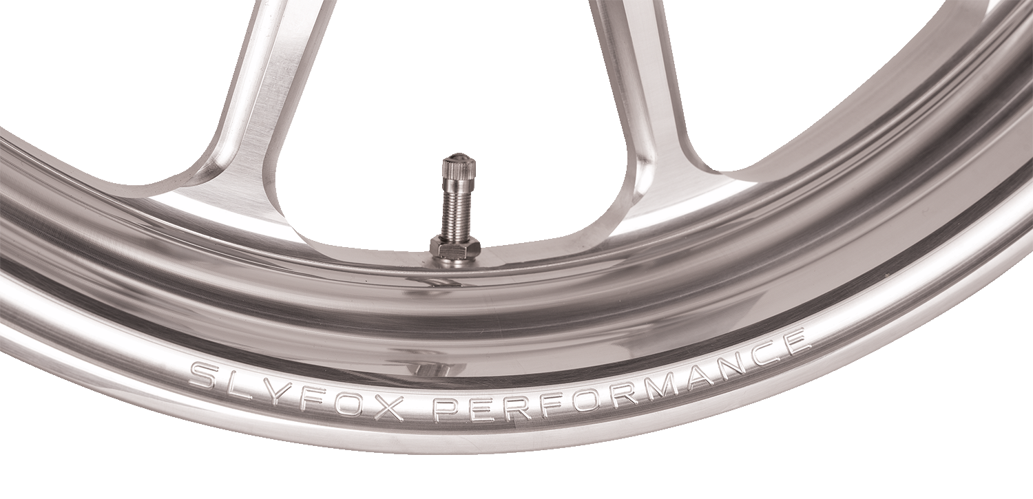 SLYFOX Wheel - Track Pro - Front - Dual Disc/with ABS - Machined - 19x3 12047905RSLYAPM