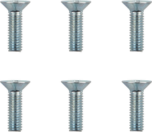 MOTO-MASTER Bolts - Brake Rotor - Hex - M6 x 20 - 6-Pack 012009-PU