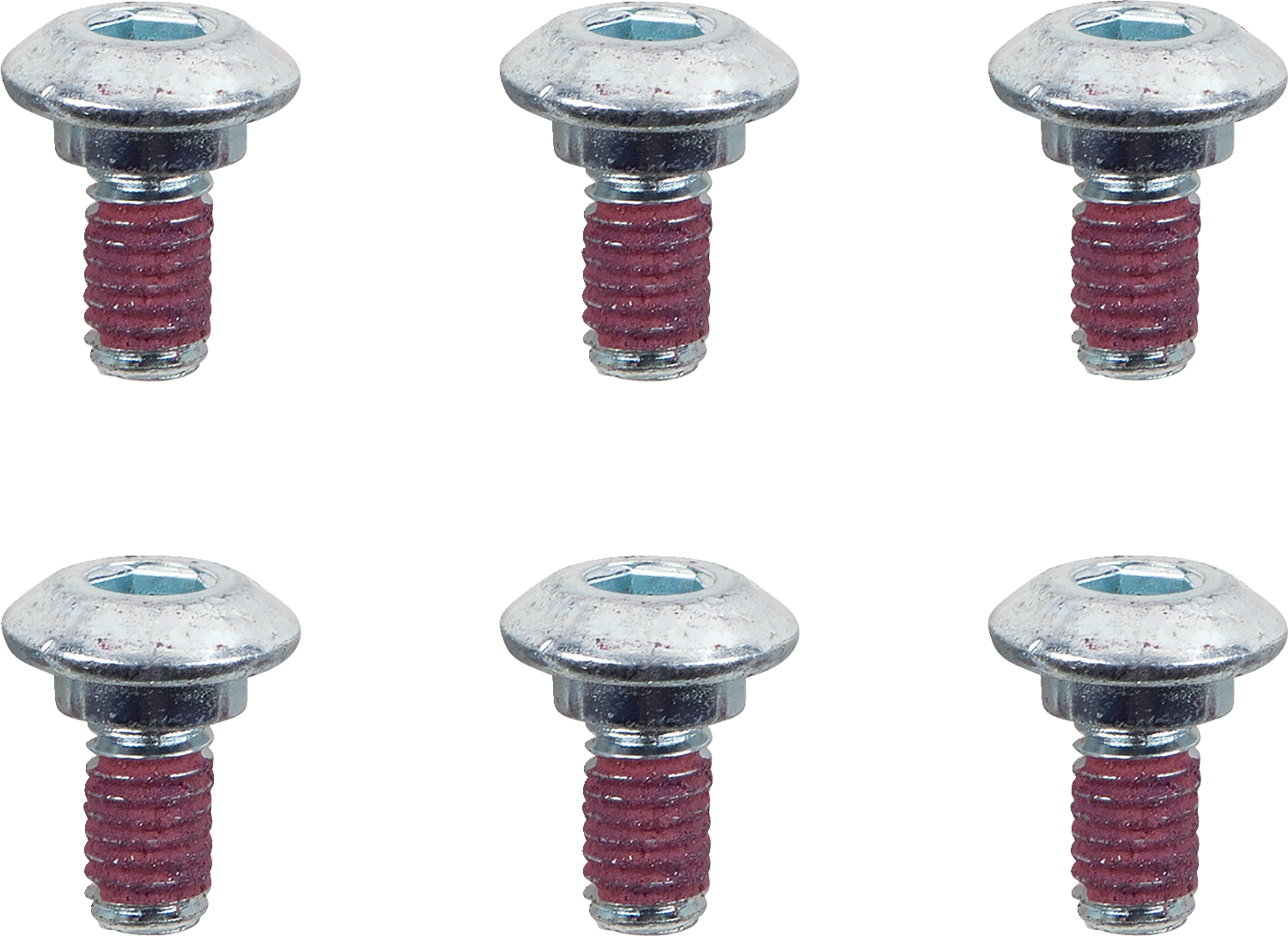 MOTO-MASTER Bolts - Brake Rotor - Hex - M6 x 13 - 6-Pack 012011-PU