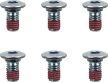 MOTO-MASTER Bolts - Brake Rotor - Hex - M8 x 15 - 6-Pack 012013-PU