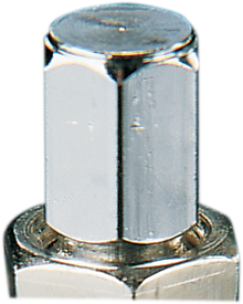 PARTS UNLIMITED Valve Stem - Bolt-In - Chrome 75012