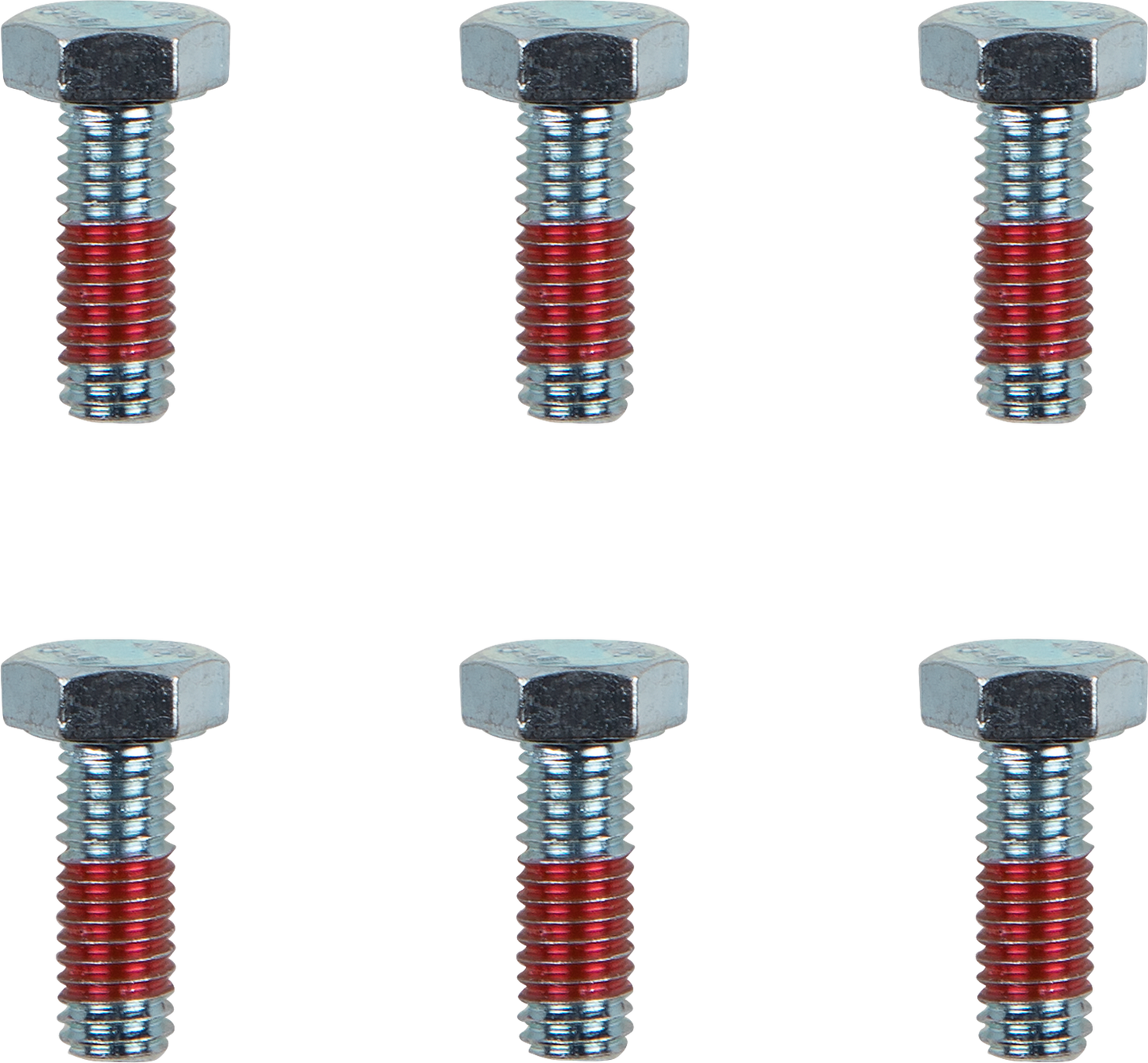 MOTO-MASTER Bolts - Brake Rotor - Torx - M6 x 17 - 6-Pack 012021-PU