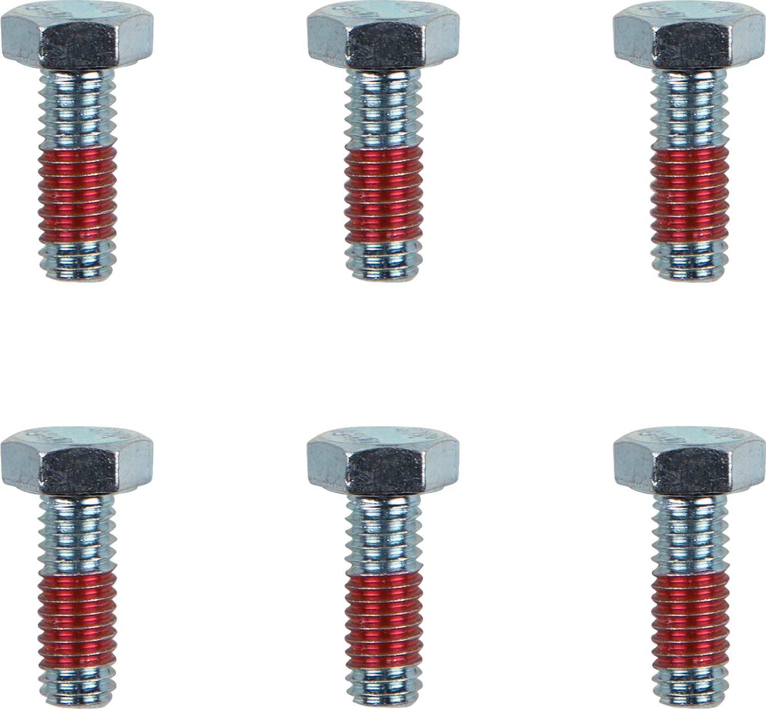 MOTO-MASTER Bolts - Brake Rotor - Torx - M6 x 17 - 6-Pack 012021-PU