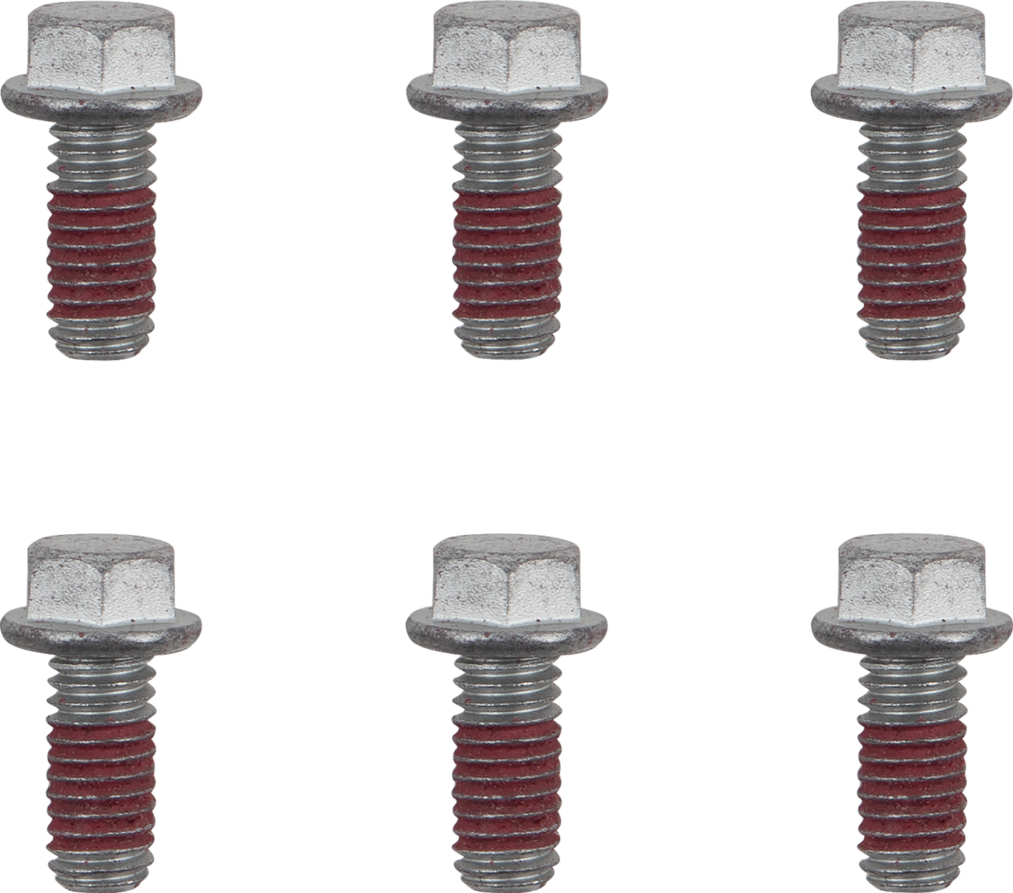 MOTO-MASTER Bolts - Brake Rotor - Torx - M6 x 13 - 6-Pack 012019-PU