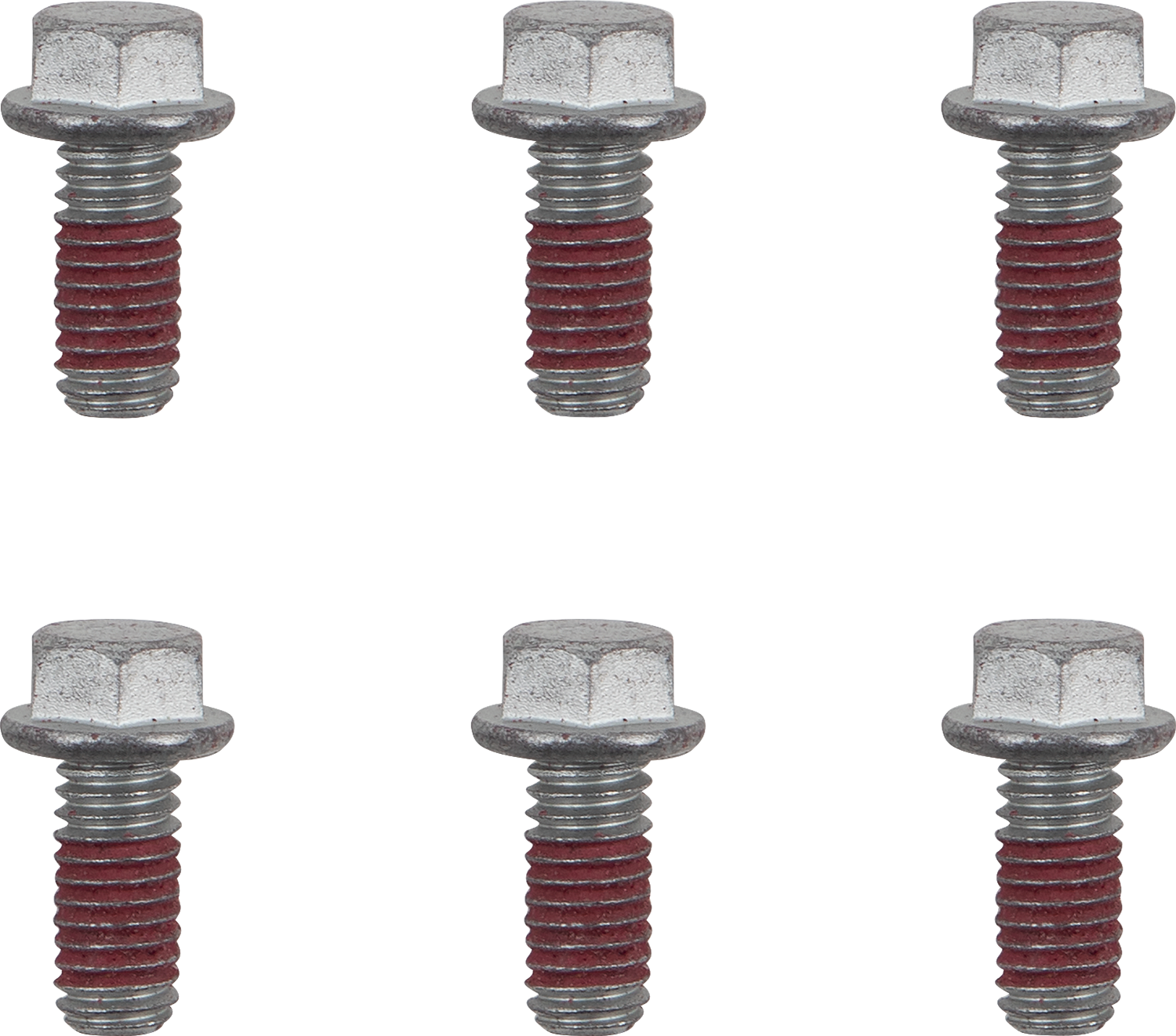 MOTO-MASTER Bolts - Brake Rotor - Torx - M6 x 13 - 6-Pack 012019-PU