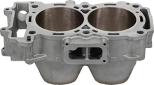 CYLINDER WORKS Cylinder Kit - Standard Bore - 93.00 mm - Polaris CW60008K03-1