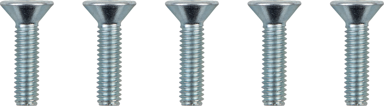 DRAG SPECIALTIES Hardware Kit - Brake Rotor - Socket-Head - Front - 5/16"-18 O39-0408