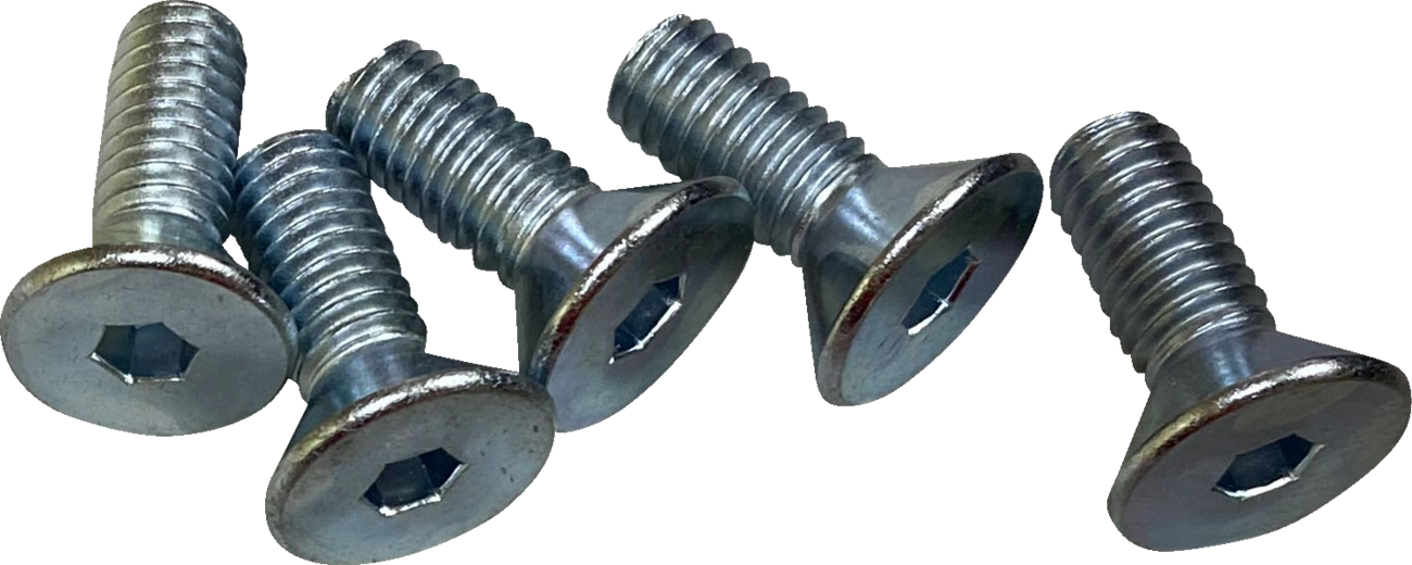 DRAG SPECIALTIES Hardware Kit - Brake Rotor - Socket-Head - Front - 5/16"-18 O39-0404