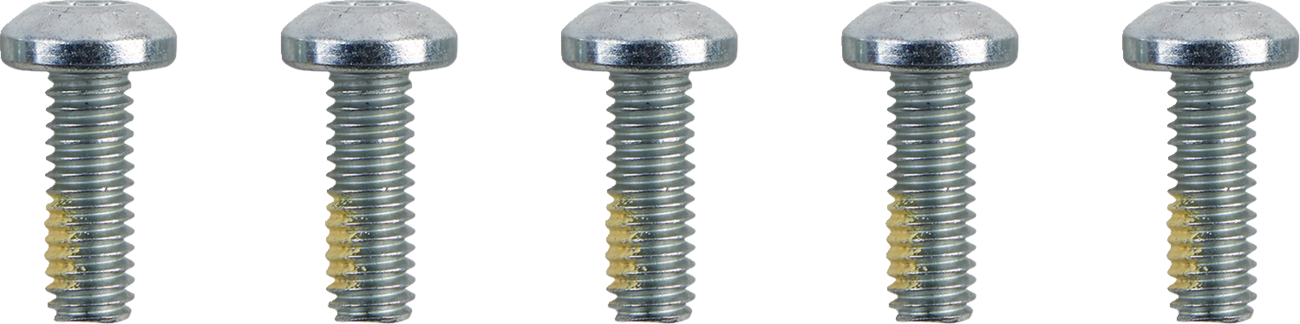 DRAG SPECIALTIES Hardware Kit - Brake Rotor - Torx - without Nuts - 5/16"-18 O39-0401