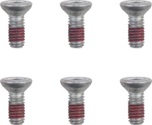 MOTO-MASTER Bolts - Brake Rotor - Hex - M6 x 12 - 6-Pack 012007-PU