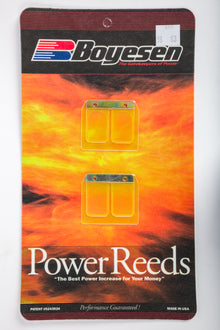Motorcycle Reeds