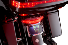 CIRO Taillight/License Plate Mount - Smoke Lens - Chrome 40453