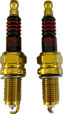 DRAG SPECIALTIES Spark Plug - Indian E18-6656IDS