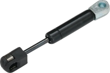 SHOW CHROME Trunk Shock - Can-Am RT/F3 41-266