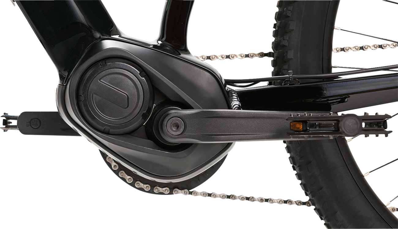 IGO ELECTRIC BIKES Outland Sawback RS E-Bike - Hardtail eMTB 100-322-200