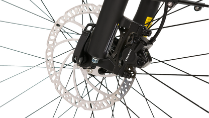 IGO ELECTRIC BIKES Discovery Yorkville LS E-Bike - Platinum - Hybrid 100-222-000