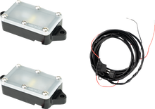 HERETIC Rock Light - Diffused - 2 Pack 70034