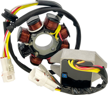 RICK'S MOTORSPORT ELECTRIC Lithium-Ion Compatible Charging Kit - KTM 14-99-902H