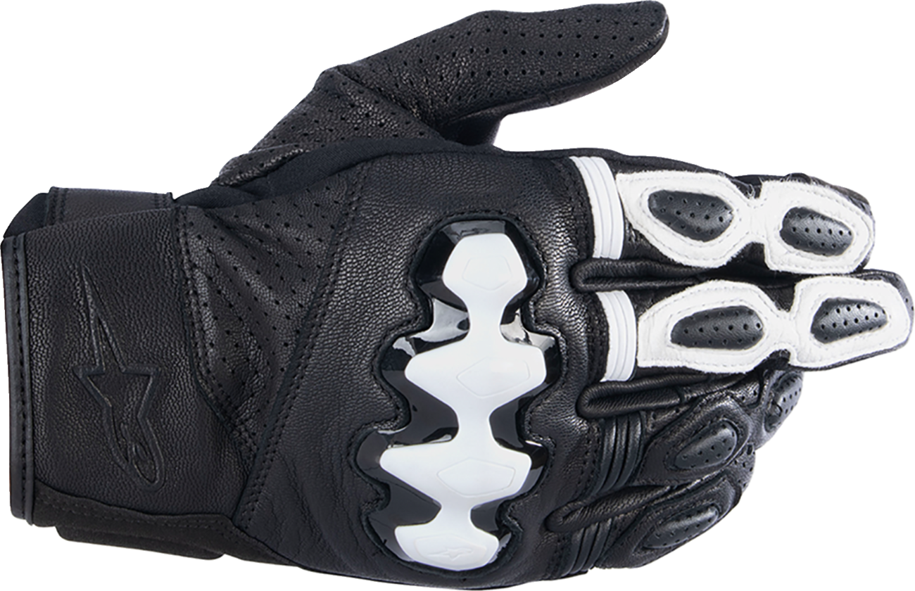 ALPINESTARS Celer V3 Gloves - Black/White - Large 3567024-12-L