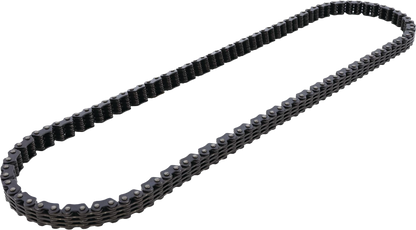 Cam Chain