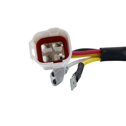 100w Ac To DC Conversion Kit Stator+Regulator