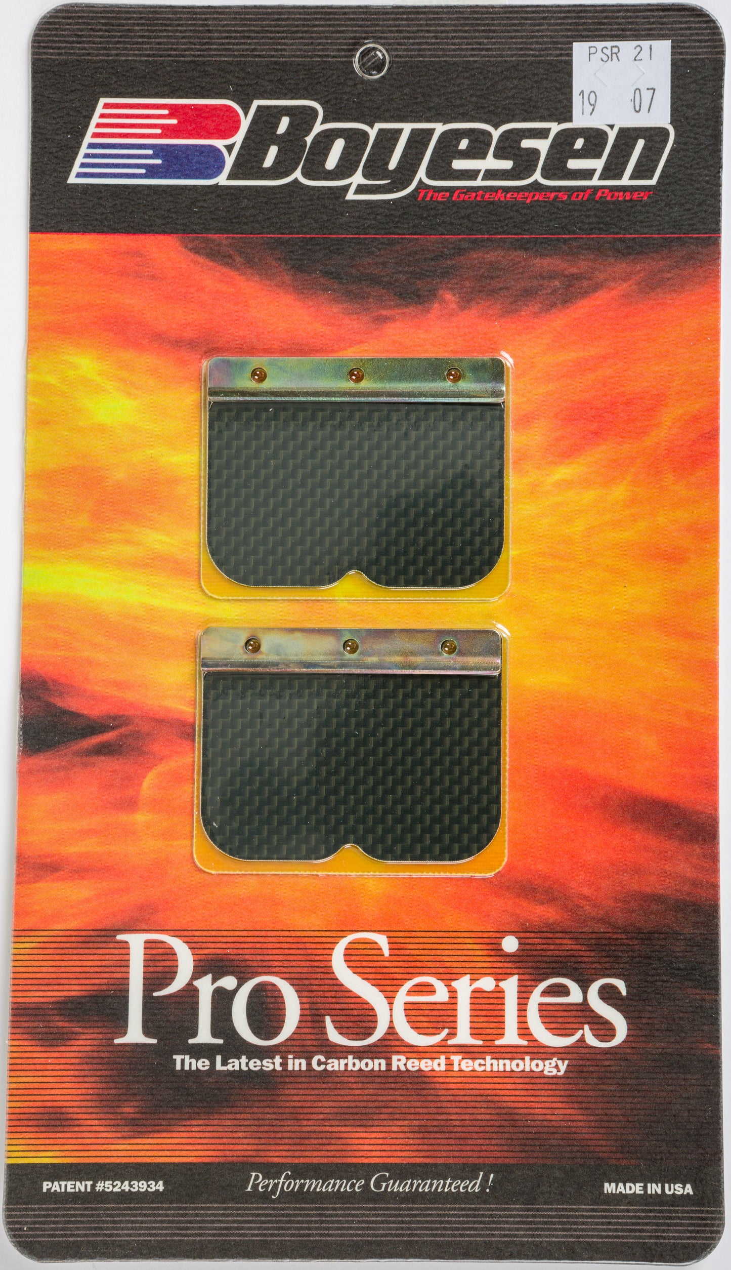 Motorcycle Pro Reeds