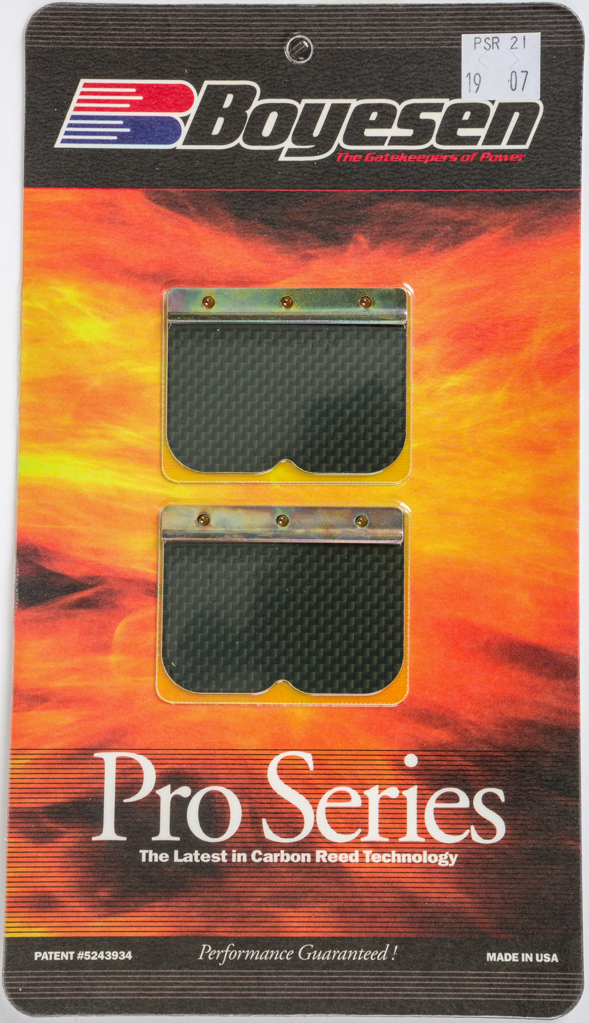 Motorcycle Pro Reeds