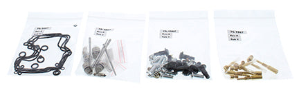 Bike Carburetor Rebuild Kit