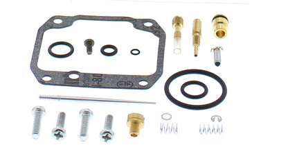 Carburetor Repair Kit