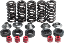 KIBBLEWHITE Valve Spring Kit - 0.375" Lift - Lightweight Racing - Yamaha 80-80100