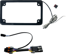 CUSTOM DYNAMICS Lighted License Plate Frame - Gloss Black - RZR CD-LPF-RZR3