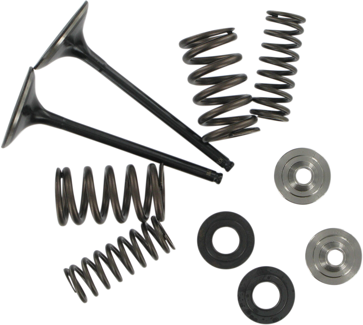 KIBBLEWHITE Valve and Spring Kit - 0.445" Lift - Kawasaki KX250F '03-'16 40-40350