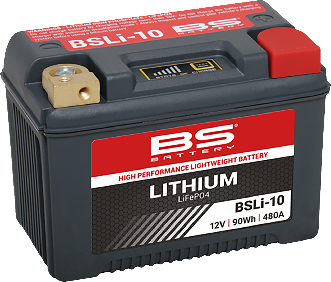 BS BATTERY Lithium Battery - BSLi-10 Max 360116