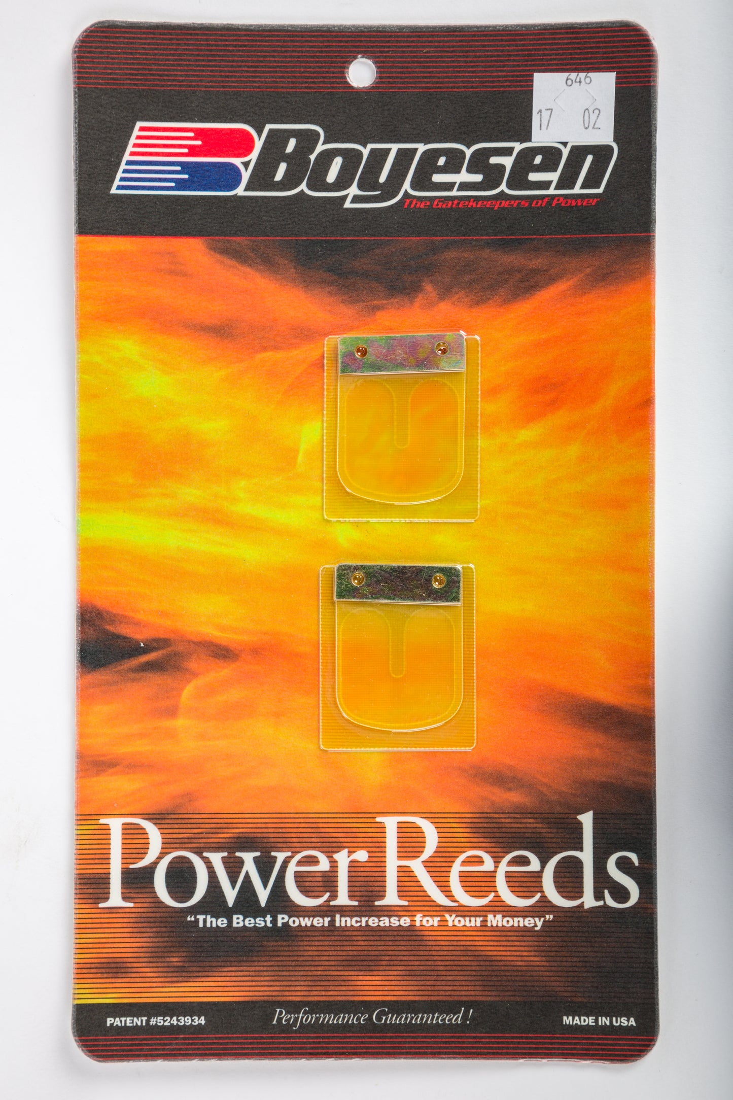 Motorcycle Reeds