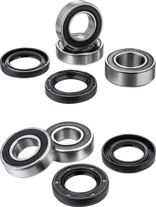 FACTORY LINKS Wheel Bearing Kit - Front/Rear - '04-'23 Sherco KWK-C-001