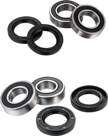 FACTORY LINKS Wheel Bearing Kit - Front/Rear - '24-'26 Sherco KWK-C-002