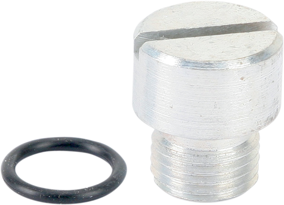 COLONY Oil Screen Plug - Cadmium - Big Twin 9645-2
