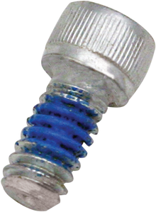 S&S CYCLE Replacement Air Cleaner Screw - Backplate - 1/4"-20 x 1/2" 106-2084