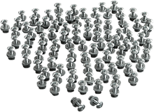 CHRIS PRODUCTS License Plate Bolts - 100PK CHB100
