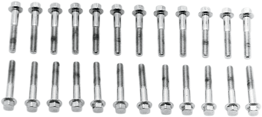 COLONY Screw Kit - Valve Cover/Hex - with Aluminum D Rings - Chrome 8732-24
