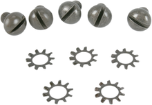 COLONY Screw Kit - Outer/Wheel Hub - Round/Button-Head - Parkerized 9670-10