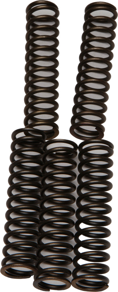Clutch Springs Csk110