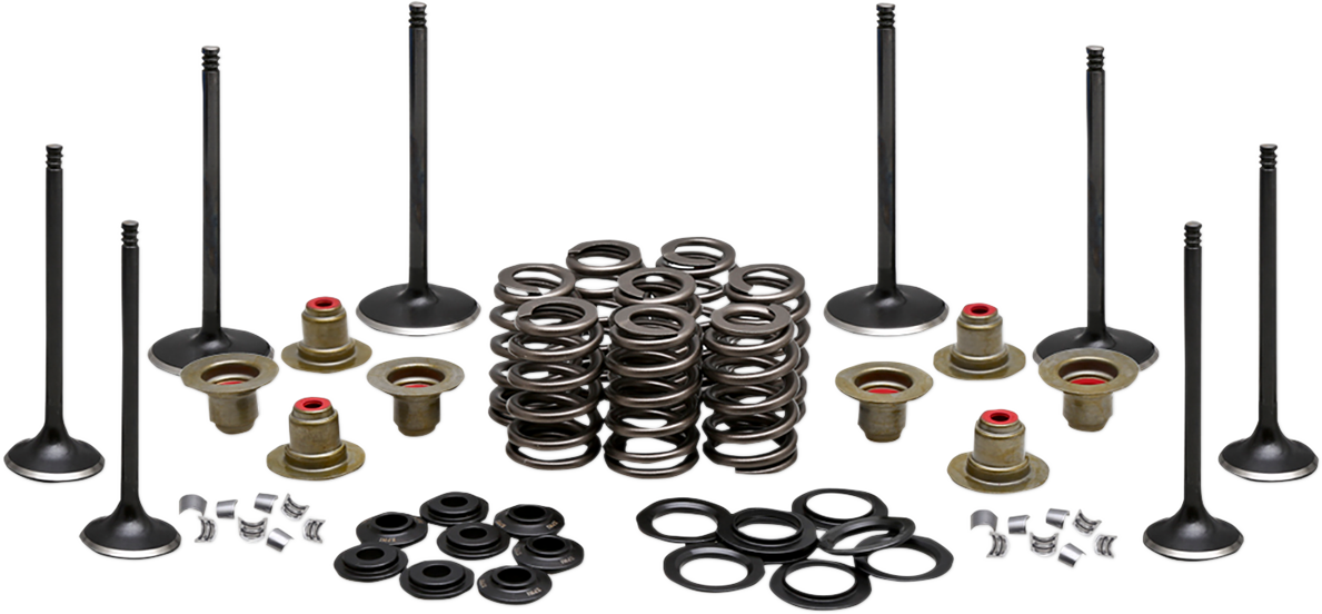 KIBBLEWHITE Engine Valve Kit - 0.465" Lift - M8 '17-'24 20-23350