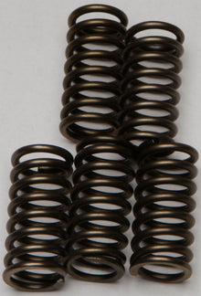 Clutch Springs Csk137