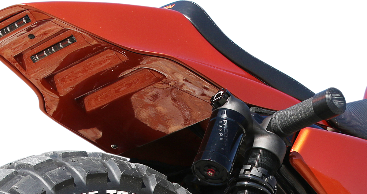 SADDLEMEN Eliminator Tail Section - With Under Tail Z4202