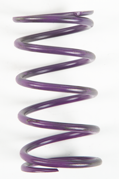Purple Spring