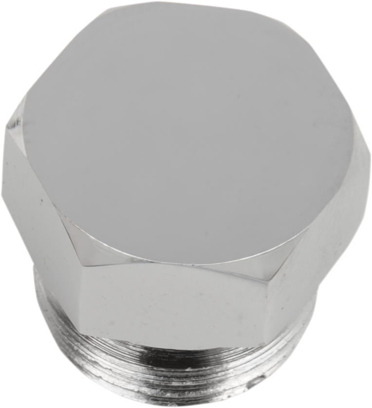 COLONY Timing Plug - Crankcase/Oil Tank - Hex - 11/16"-16 9304-1