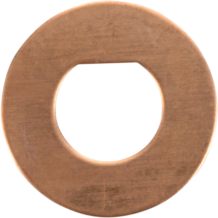CYCLE CRAFT Friction Washers - 10 Pack 39-21252