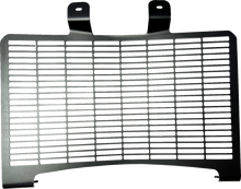 DRAG SPECIALTIES Radiator Cover - Black - Pan America I15-0100