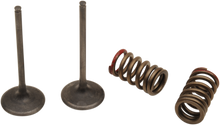 PROX Valve and Spring Kit - Intake - Kawasaki | Suzuki 28.SIS4335-2